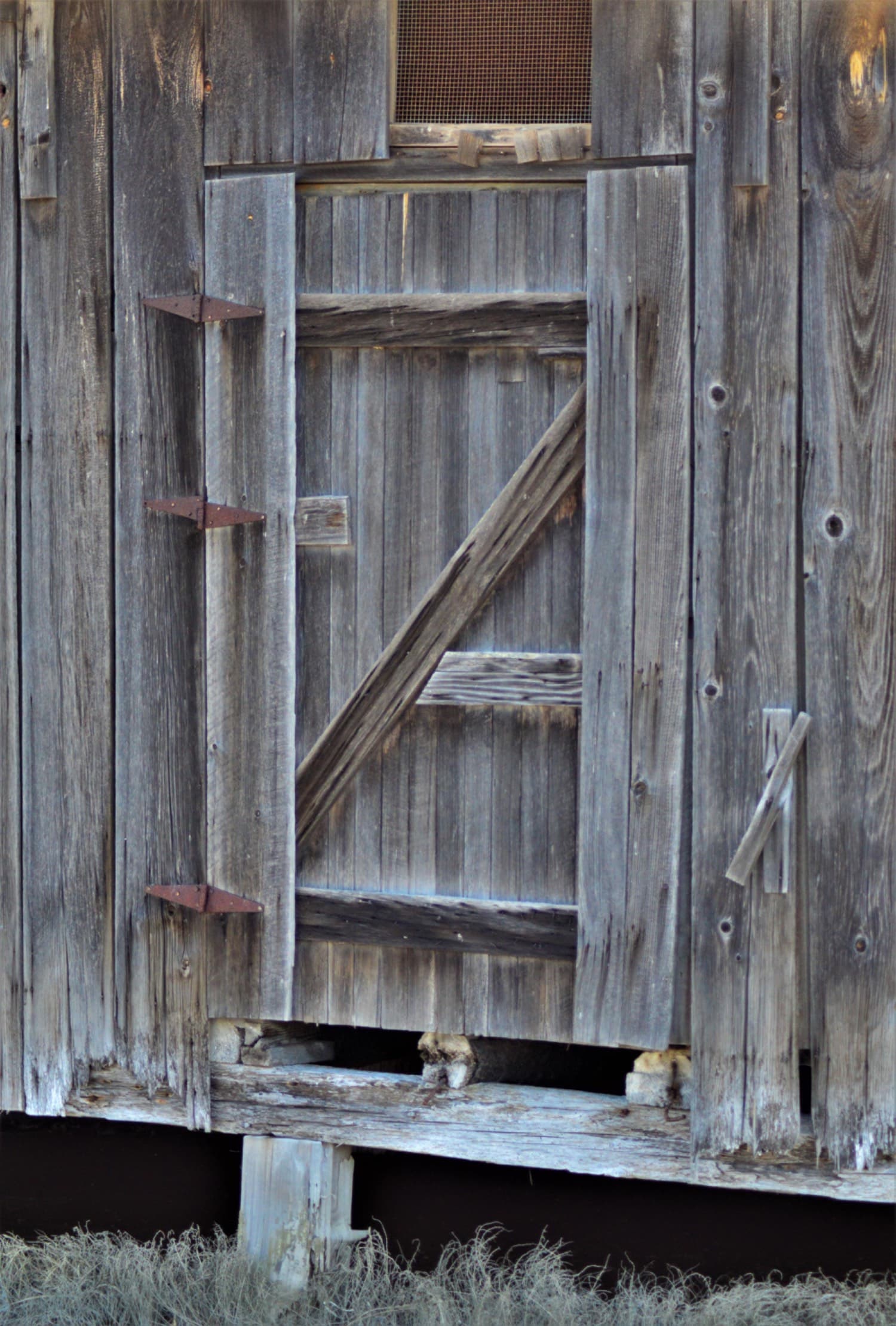 Salvaged Fence Posts & Vintage Barn Doors - Reclaimed Lumber