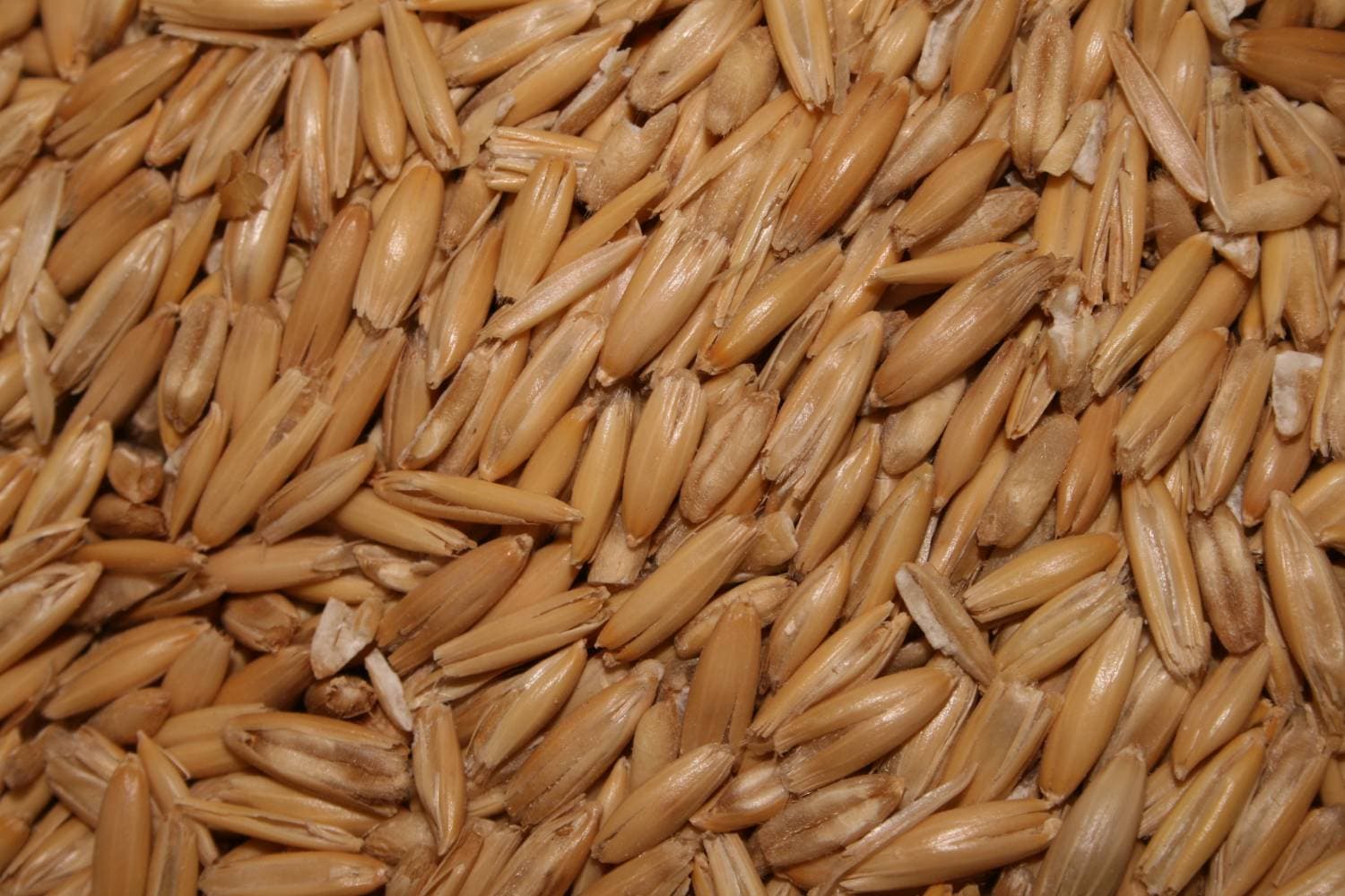 Complete Livestock Feed - Lab Tested