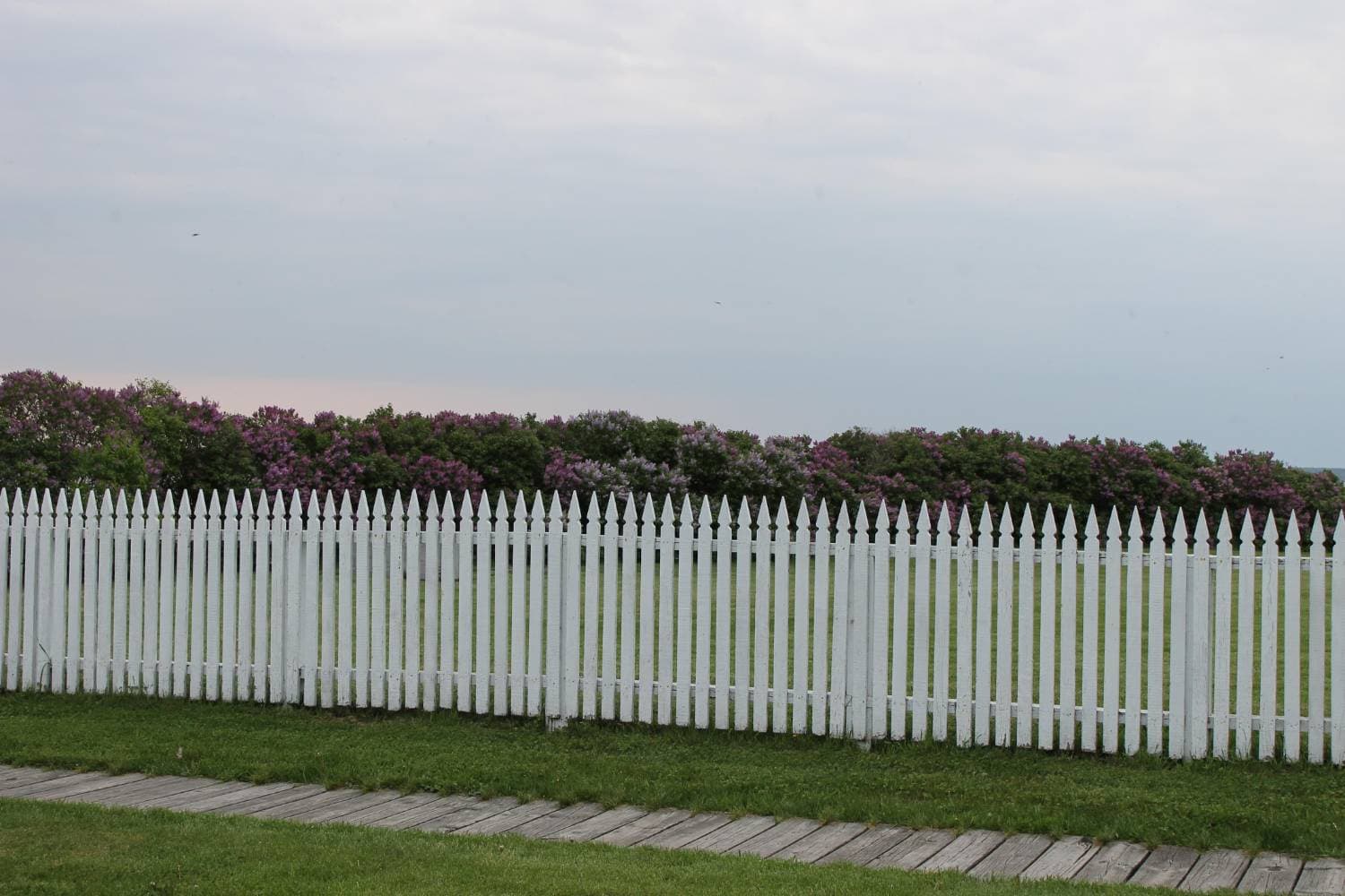 Agricultural Fence Installation & Repair