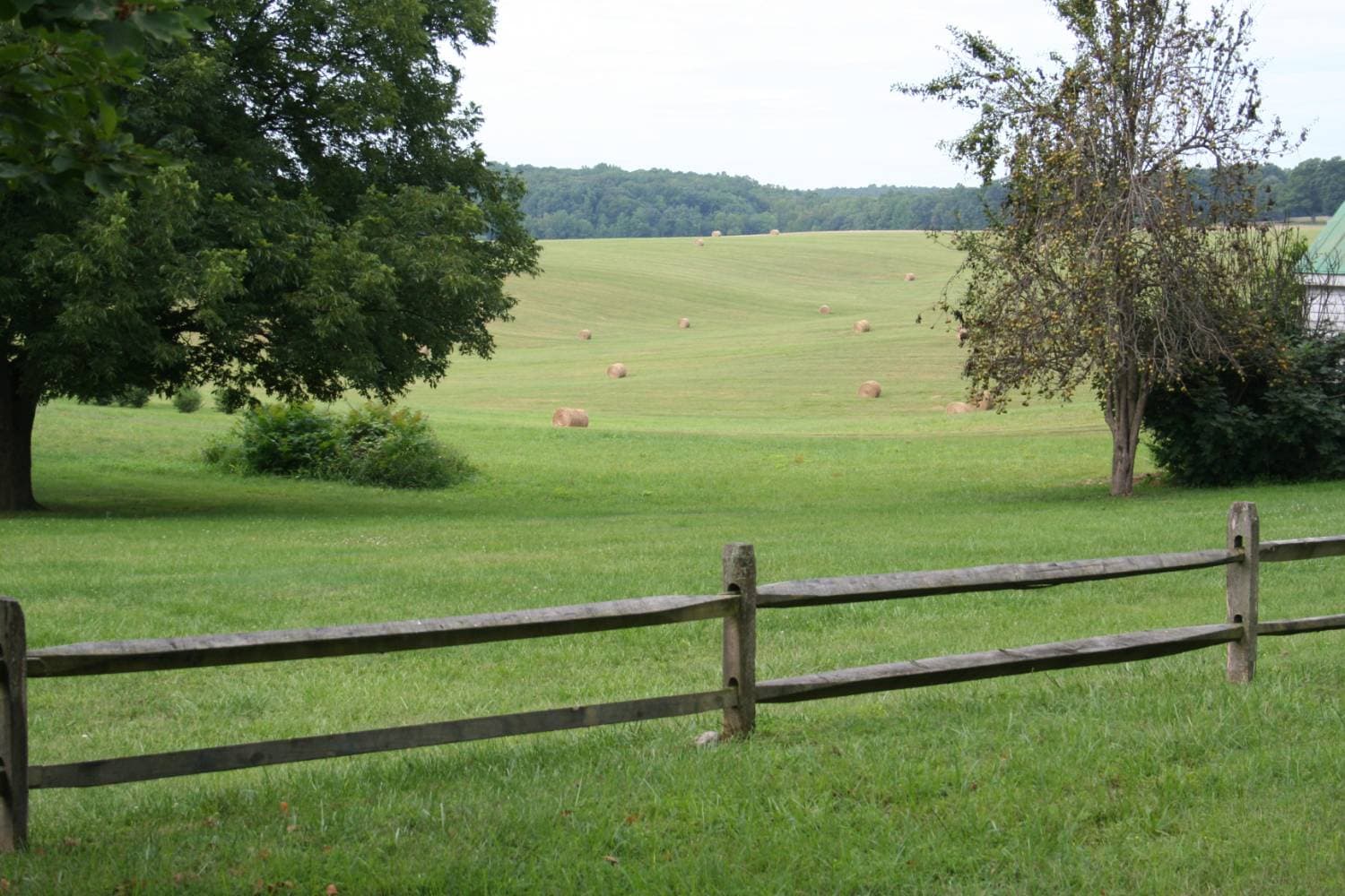 Agricultural Fence Installation & Repair
