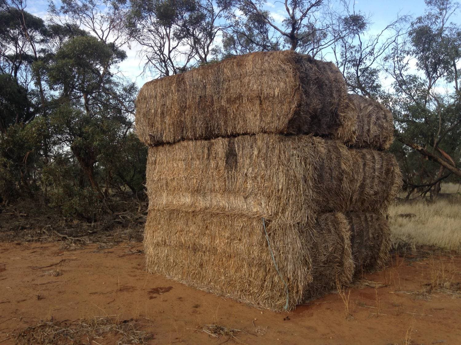 Grass/Alfalfa Mix Hay - Premium Horse Quality