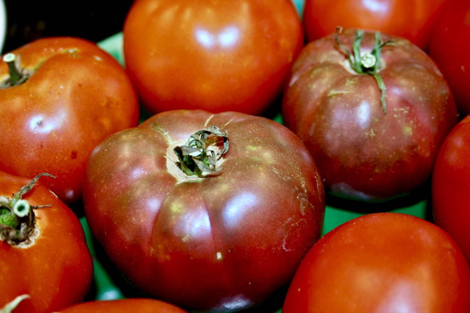 Heirloom Tomato Seed Collection - 10 Varieties