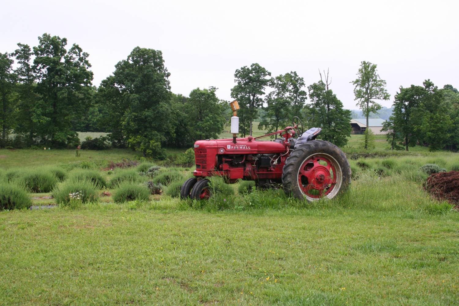 Farm Hand Needed - Full Time with Housing