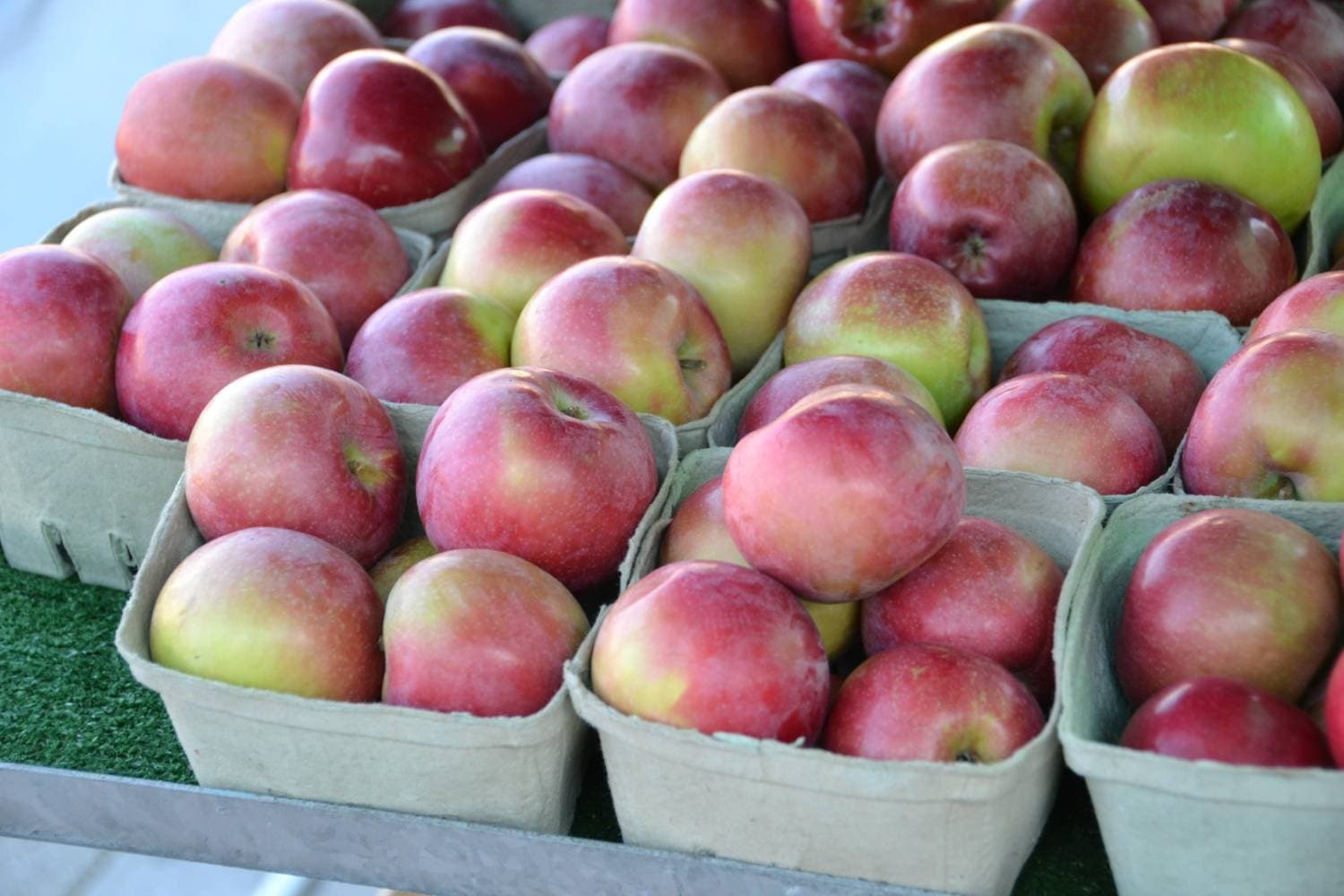 Fresh Honeycrisp Apples: U-Pick or Pre-Picked